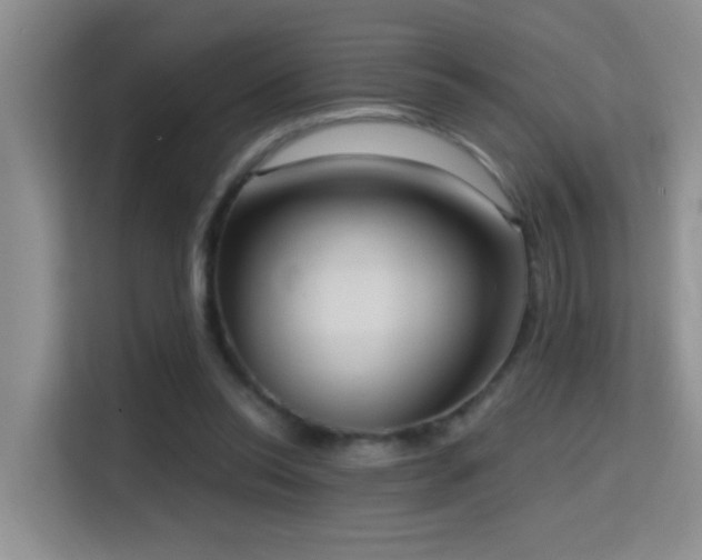 X0000114720350200910211351