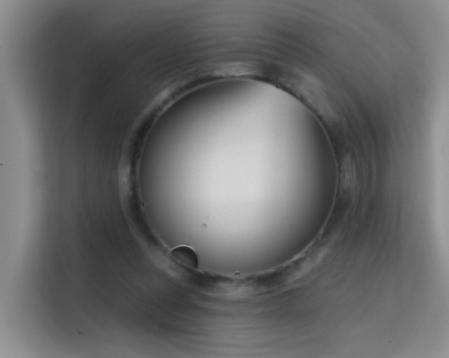 X0000114720351200910211351