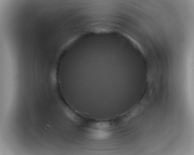 X0000114720353200910211351