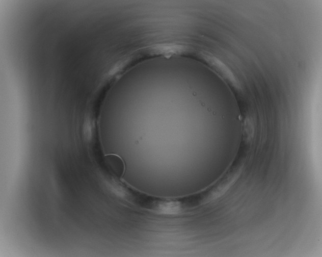 X0000114720355200910211352