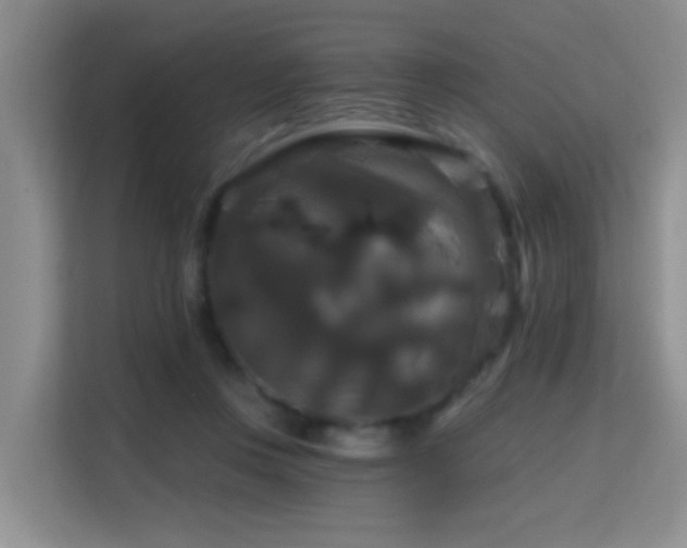 X0000114720359200910211352