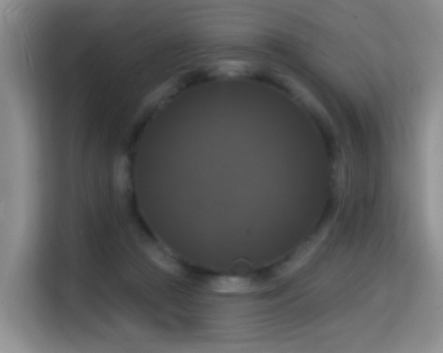 X0000114720361200910211352