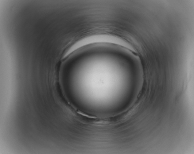 X0000114720362200910211352