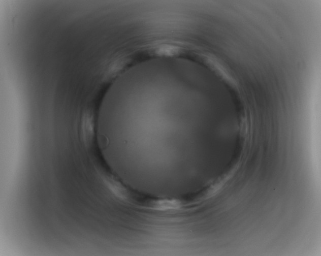 X0000114720363200910211352