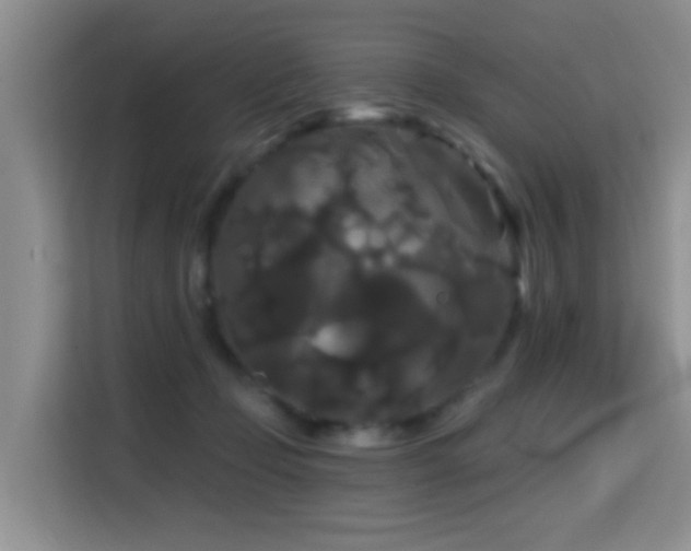 X0000114720365200910211352