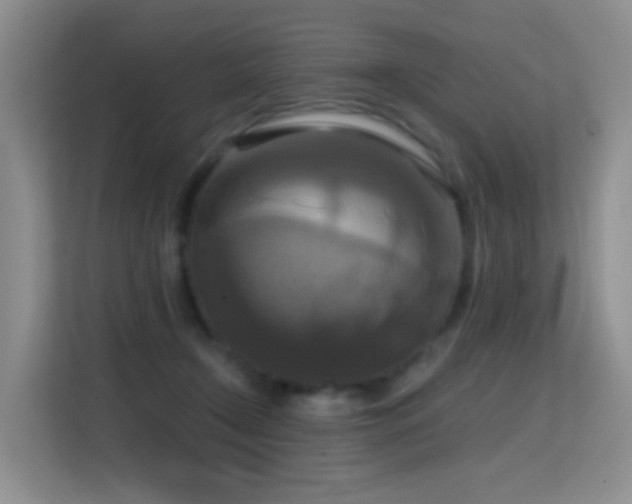 X0000114720366200910211352