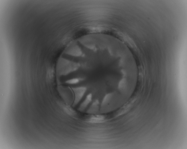 X0000114720369200910211352