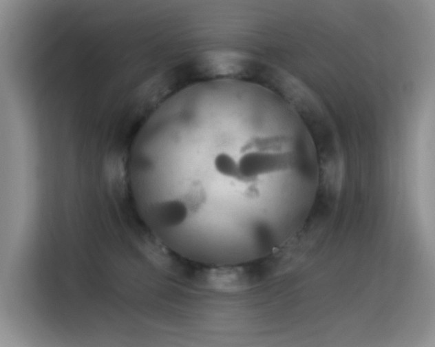 X0000114720373200910211352