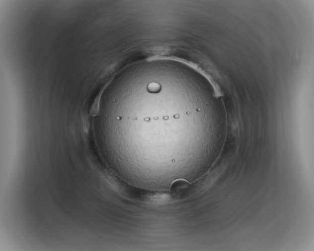 X0000114720374200910211352