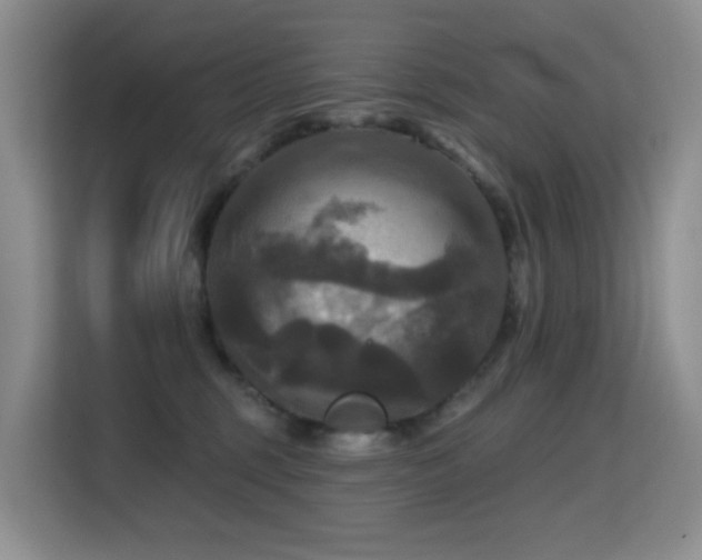 X0000114720375200910211352