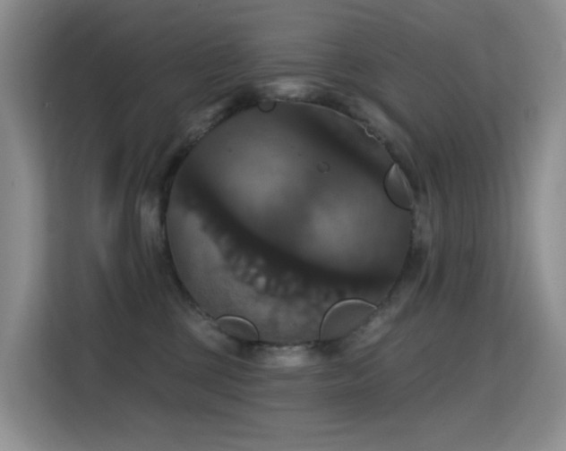 X0000114720377200910211352