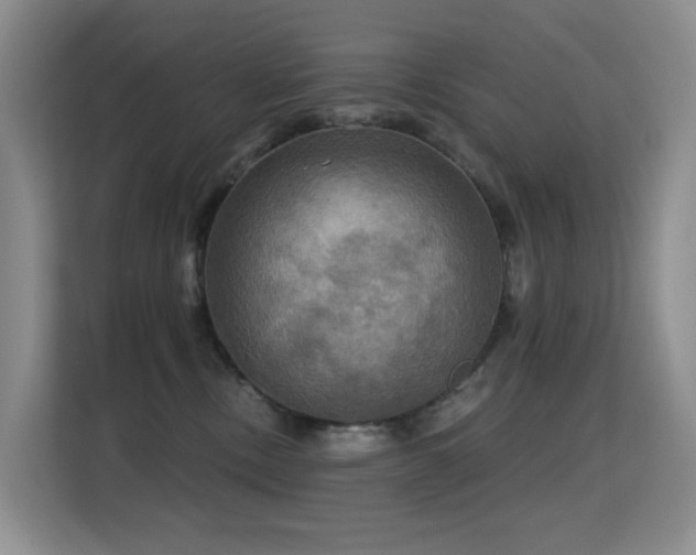 X0000114720378200910211352