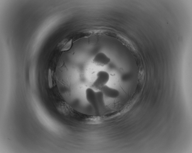 X0000114720381200910211352