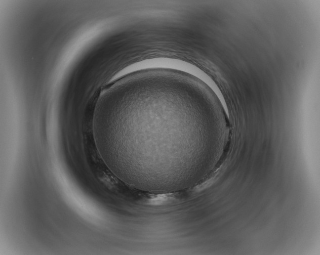 X0000114720382200910211352