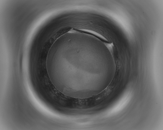 X0000114720383200910211352