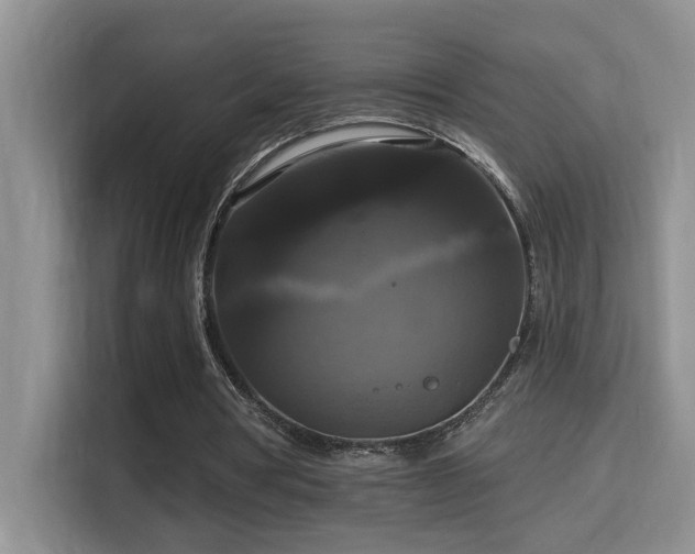 X0000114720386200910211351