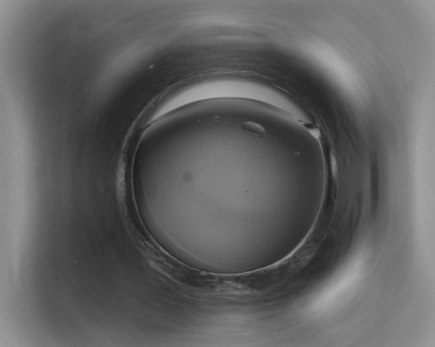 X0000114720387200910211351