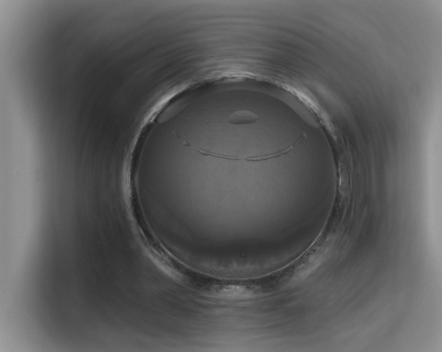 X0000114720390200910211351