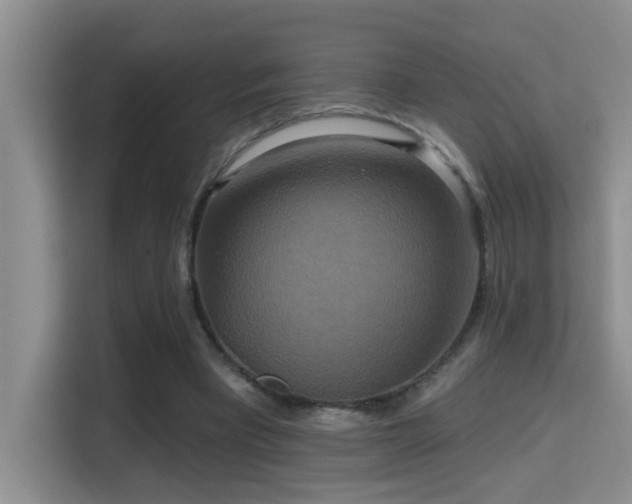 X0000114720393200910211351