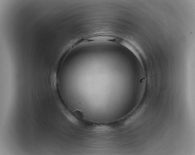 X0000114720397200910211351