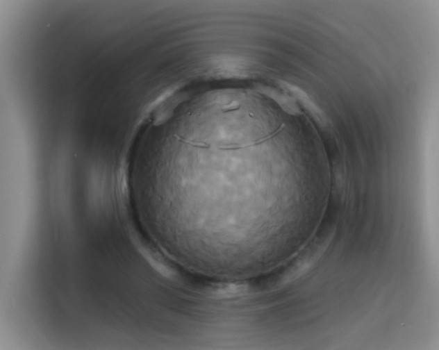 X0000114720398200910211351