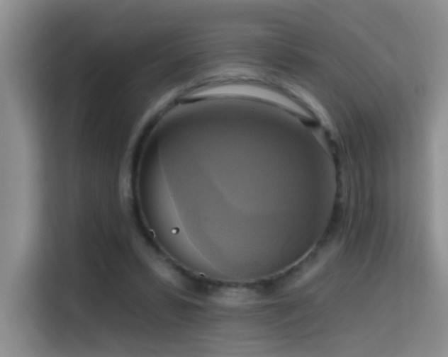 X0000114720399200910211351