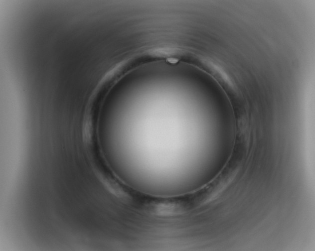 X0000114720400200910211351