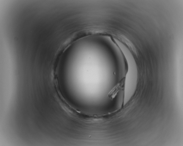 X0000114720401200910211351