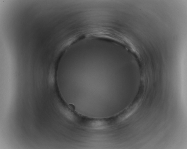 X0000114720402200910211351