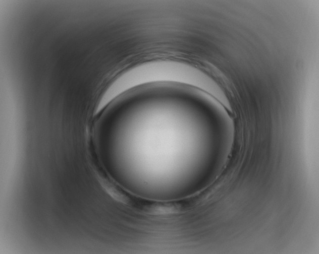 X0000114720405200910211351