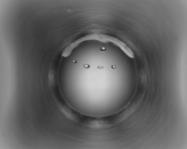 X0000114720408200910211351