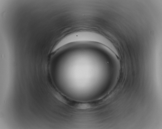 X0000114720409200910211351