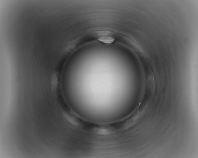 X0000114720412200910211351