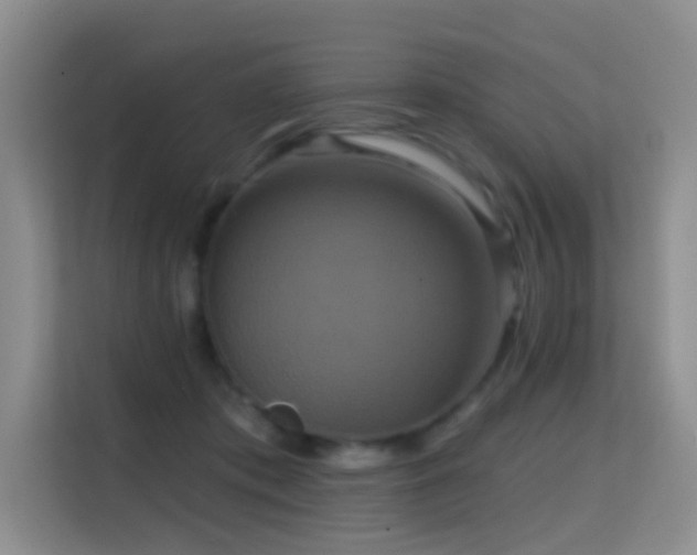 X0000114720413200910211351