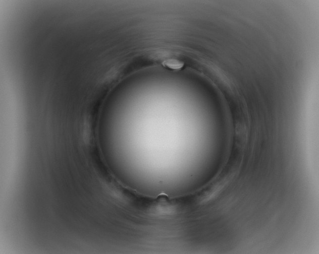 X0000114720416200910211351