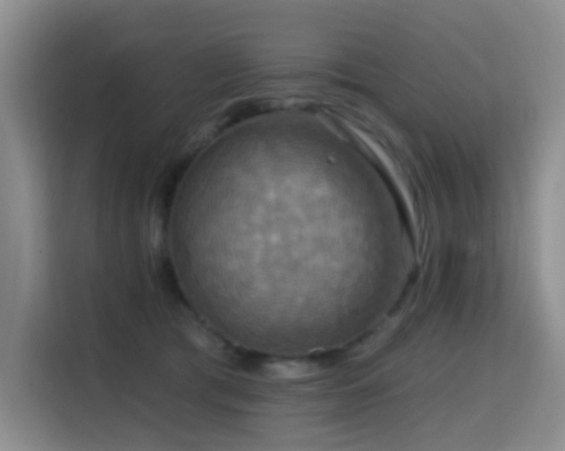 X0000114720417200910211351