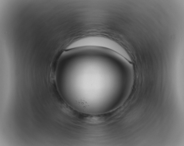 X0000114720419200910211351