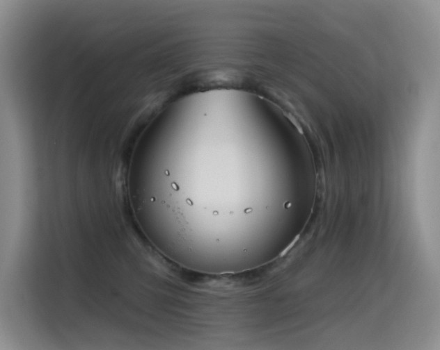 X0000114720423200910211351