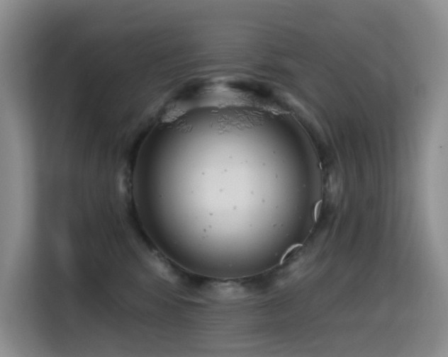 X0000114720424200910211351