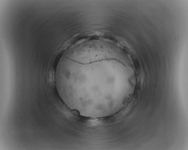 X0000114720425200910211351