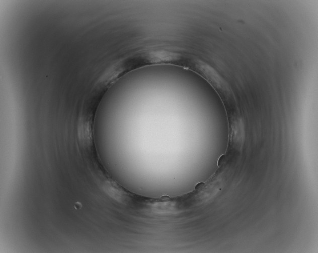 X0000114720426200910211351