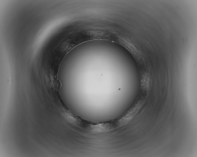 X0000114720430200910211351