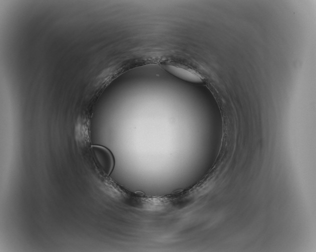 X0000114720432200910211351