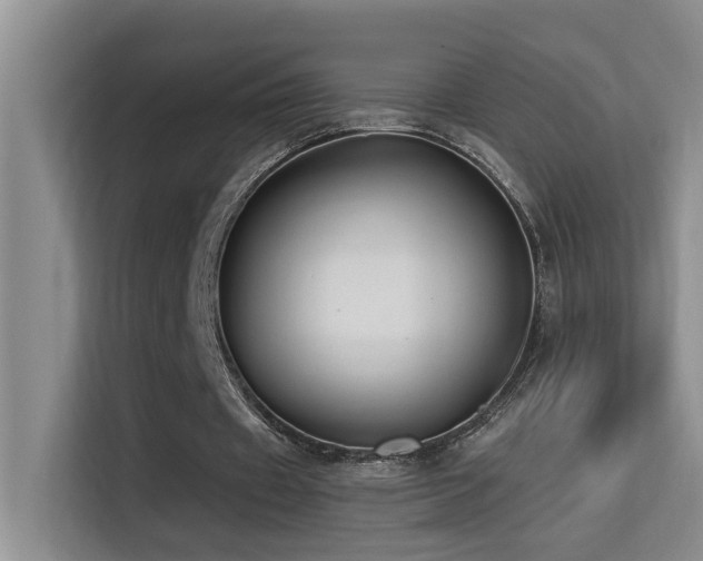 X0000114720433200910211350