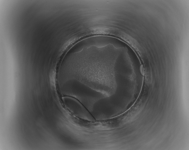 X0000114720434200910211350