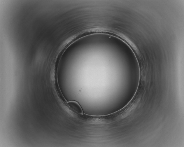 X0000114720437200910211350