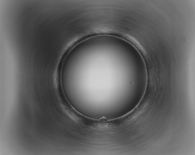 X0000114720439200910211350