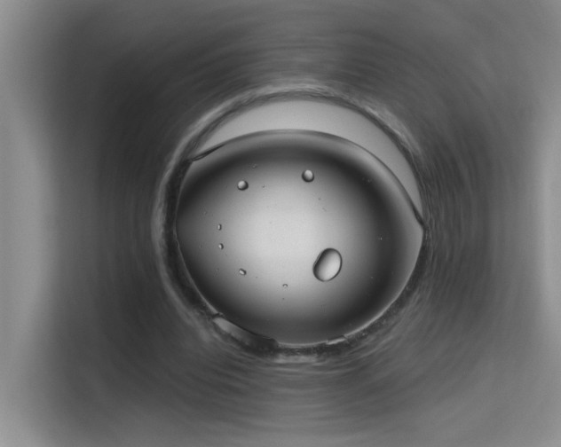 X0000114720440200910211350