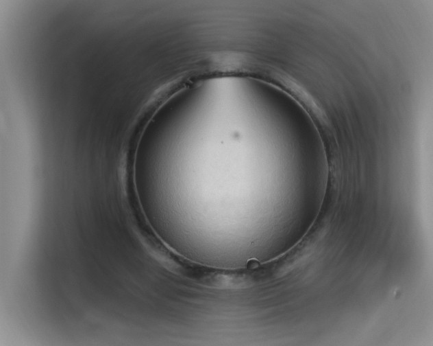 X0000114720442200910211350