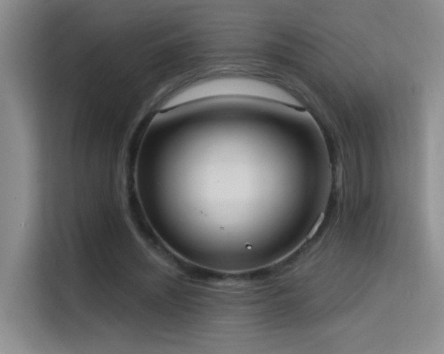 X0000114720444200910211350